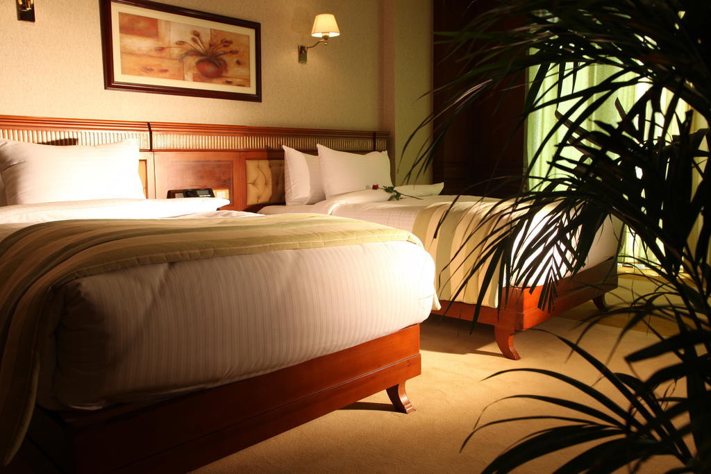 Helnan Landmark Hotel Cairo Phòng bức ảnh